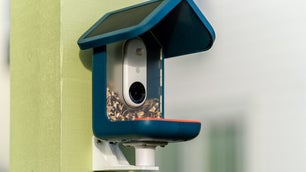 The best bird feeder camera is cheaper than ever at Amazon for Black Friday