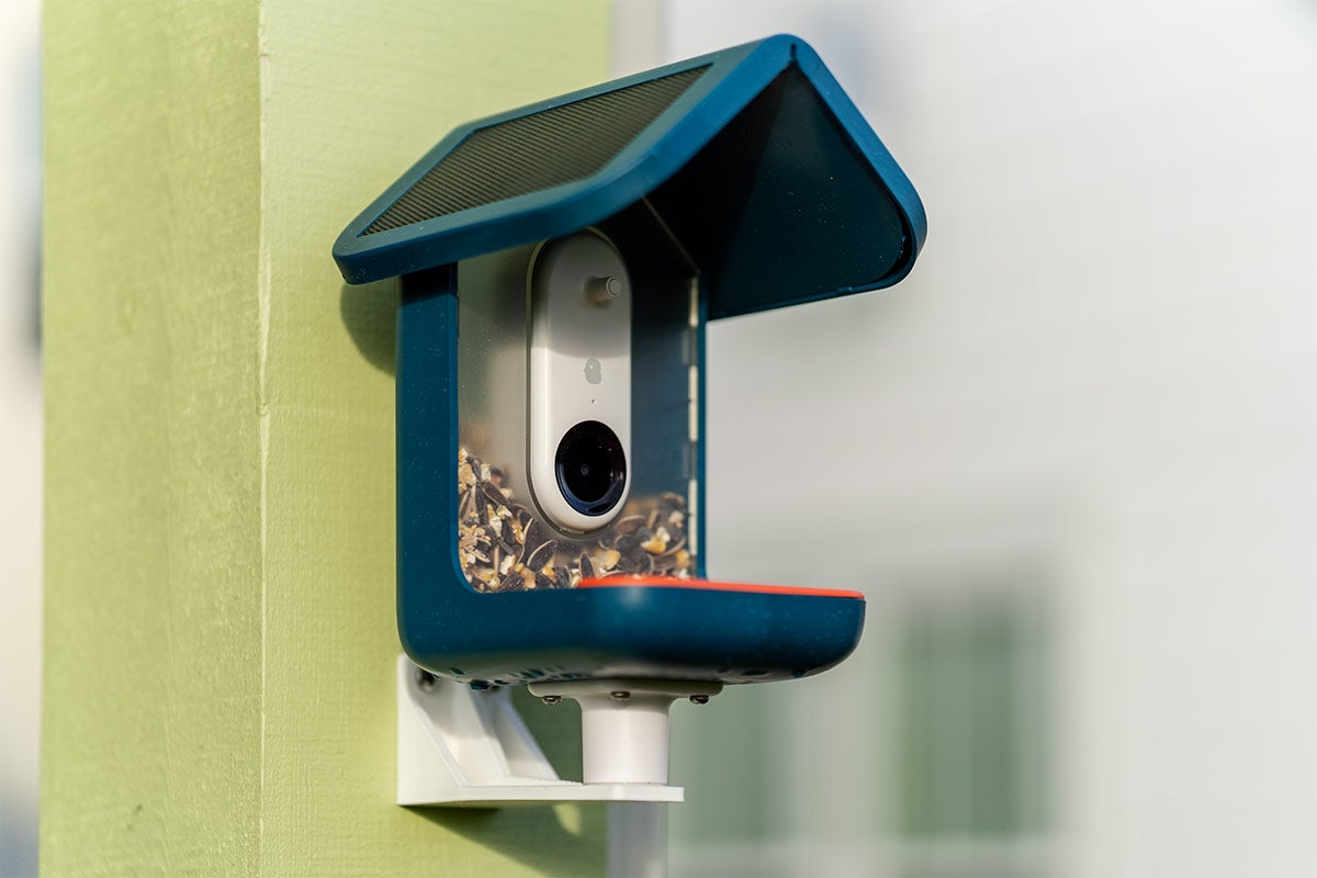 A blue Bird Buddy Smart Bird Feeder filled with seed is mounted to a green post.