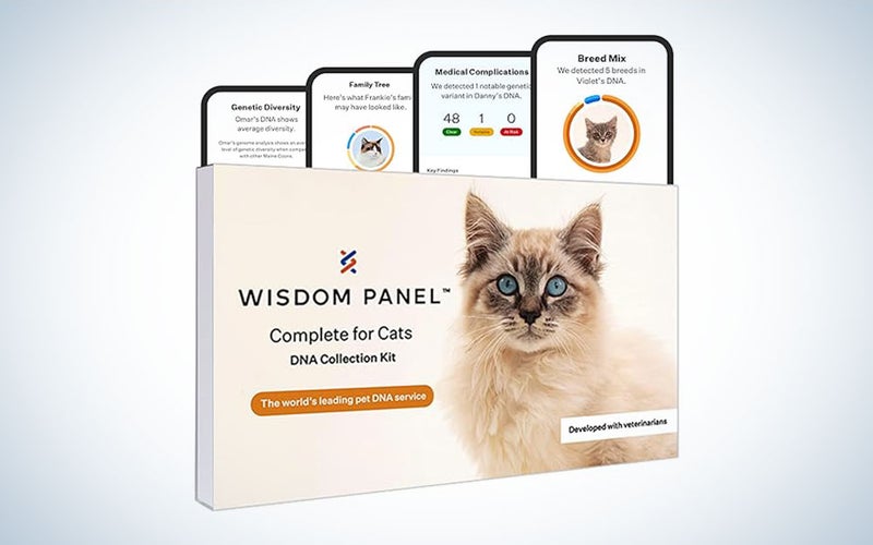 A cat DNA test from Wisdom Health on a plain background